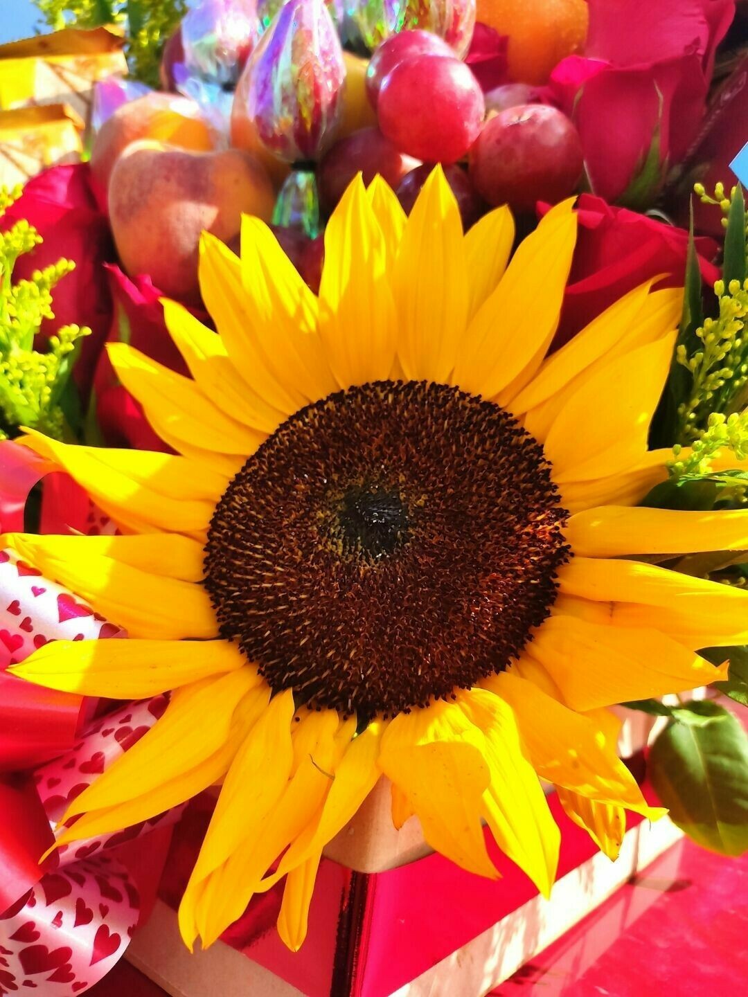 Espiral Floral – foto 4