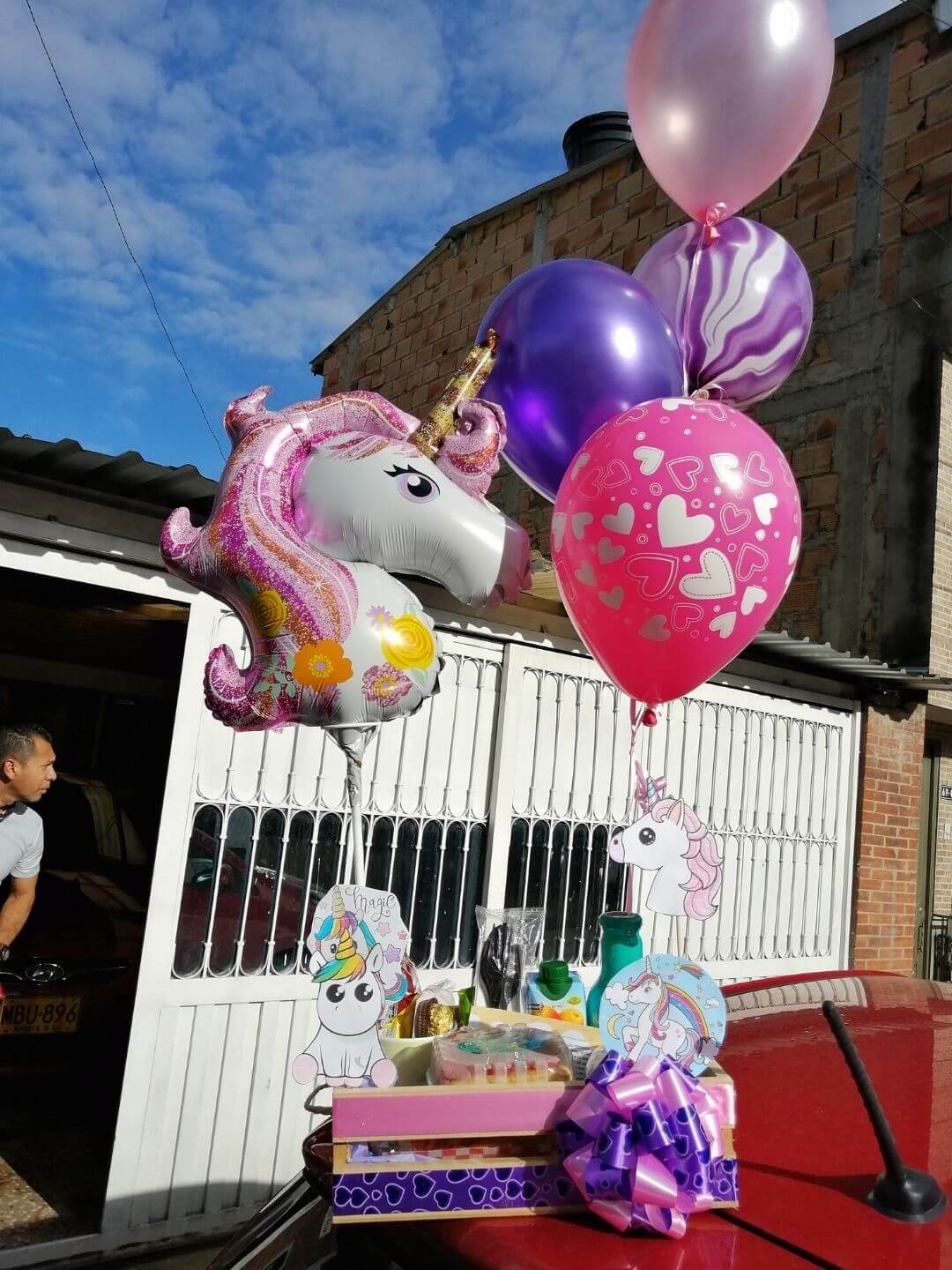 Unicornio Premium – foto 7