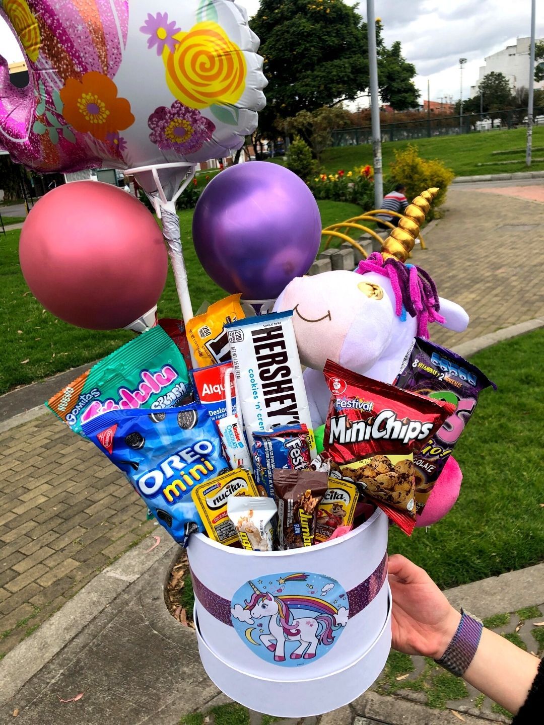 Ancheta Unicornio – foto 4