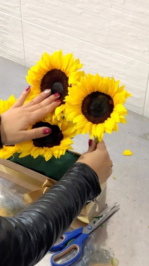 Girasoles Frutales – foto 7