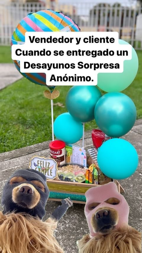 Desayuno Celeste – foto 8