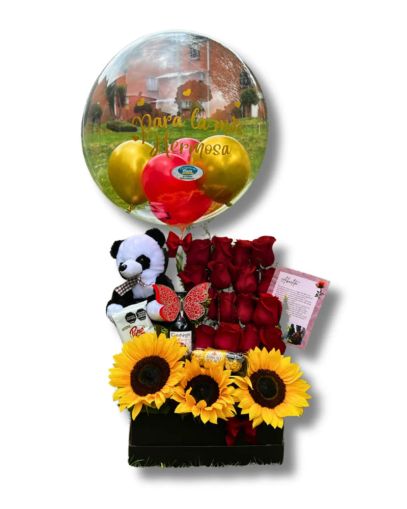 Rosas Radiantes | Amor y amistad 2025