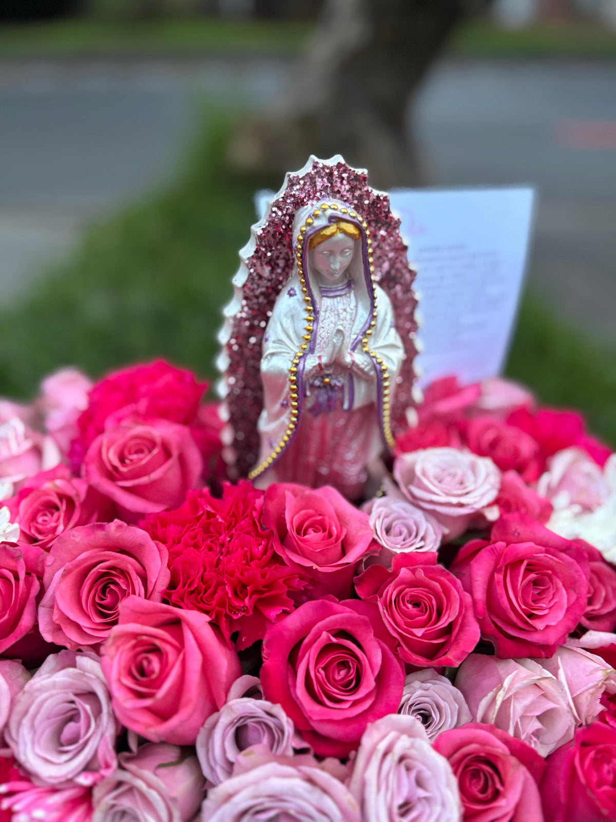 Rosas Virgen de guadalupe