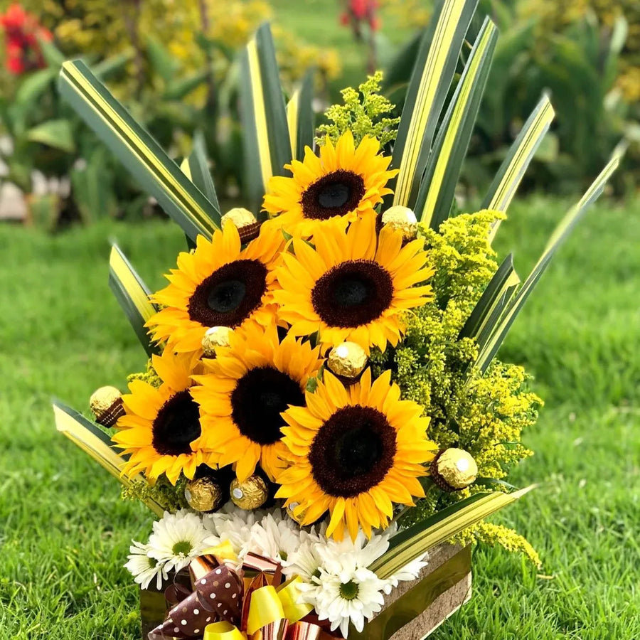 Girasoles en jardín, luminoso